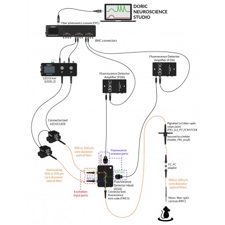 1-site-fiber-photometry-system-gfp-rfp