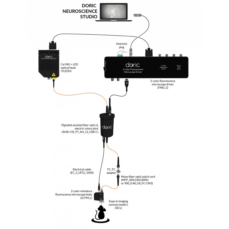 2-color-fluorescence-microscopy-system-deep-brain