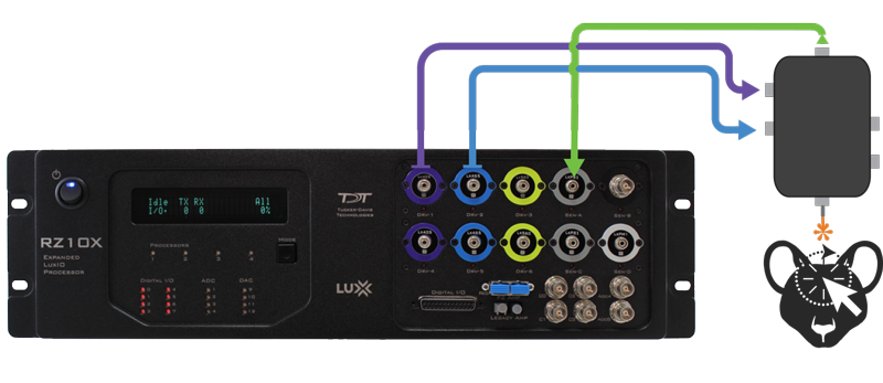 Fiber-Photometry-with-RZ10X_Connection-Map_2020