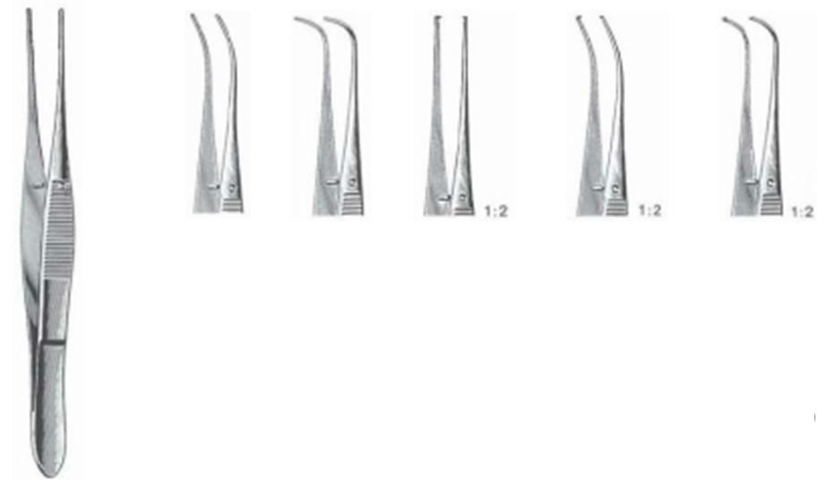 Surgical Instruments.Forceps